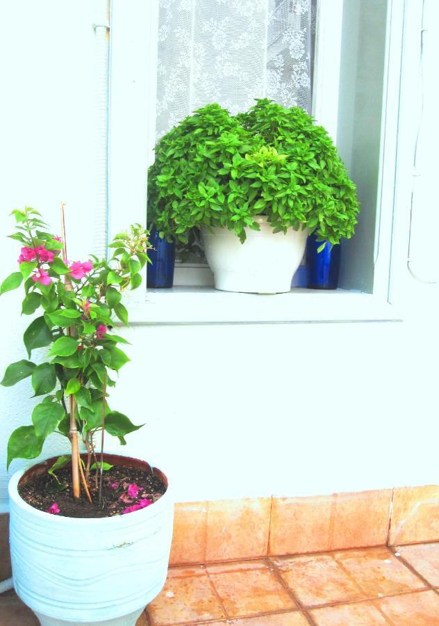 סלוניקי City Center Landmark House מראה חיצוני תמונה